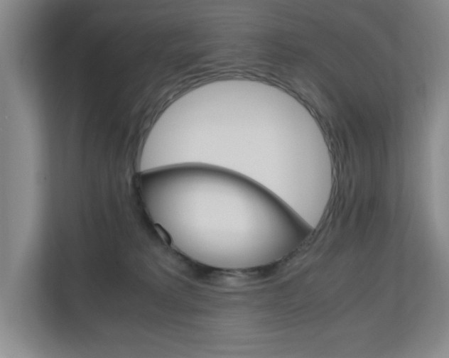 X0000110990229200906191116