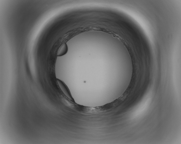 X0000110990239200906191116