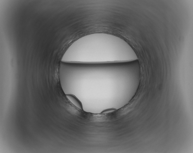 X0000110990240200906191116