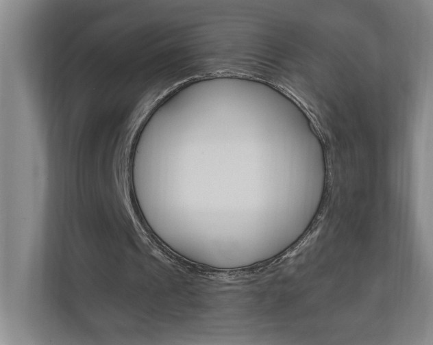 X0000110990241200906191116