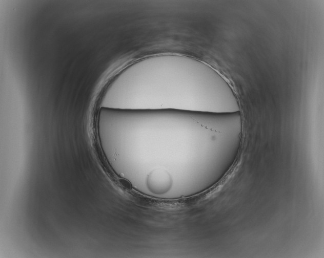 X0000110990245200906191116