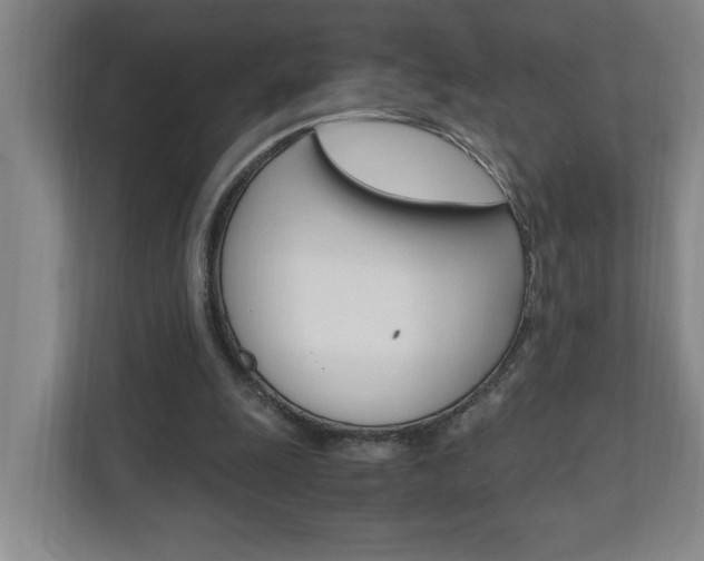 X0000110990247200906191116