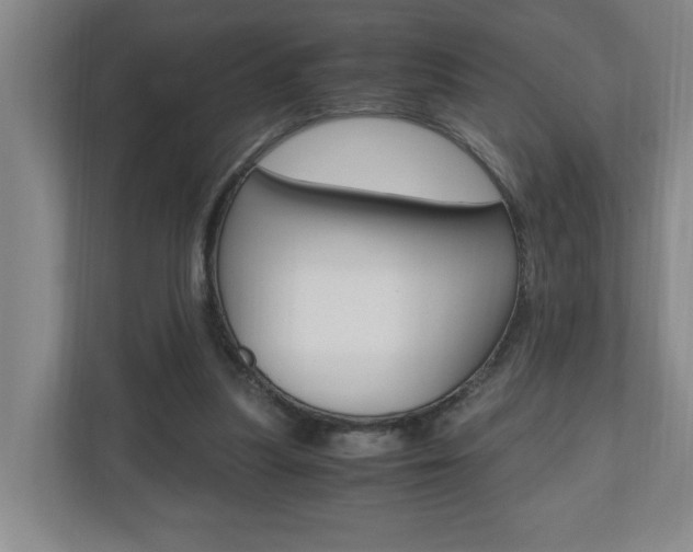 X0000110990251200906191116