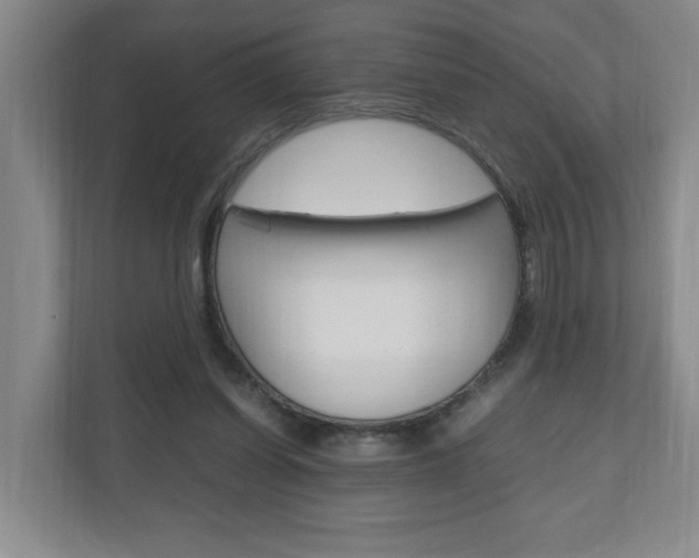 X0000110990254200906191116