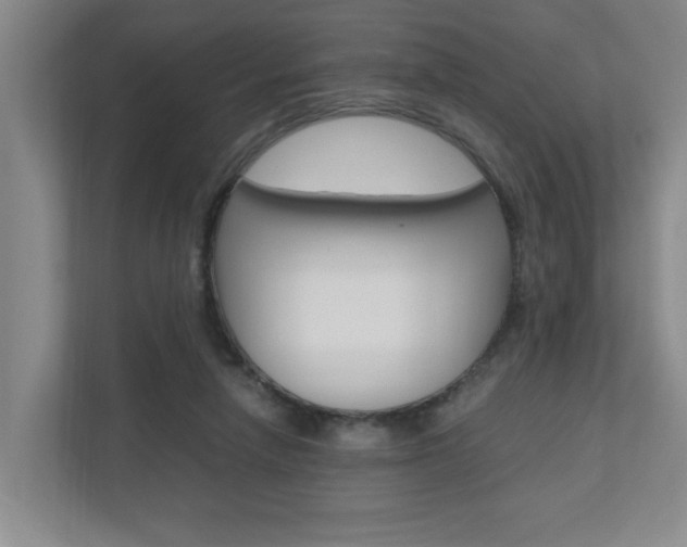 X0000110990258200906191116