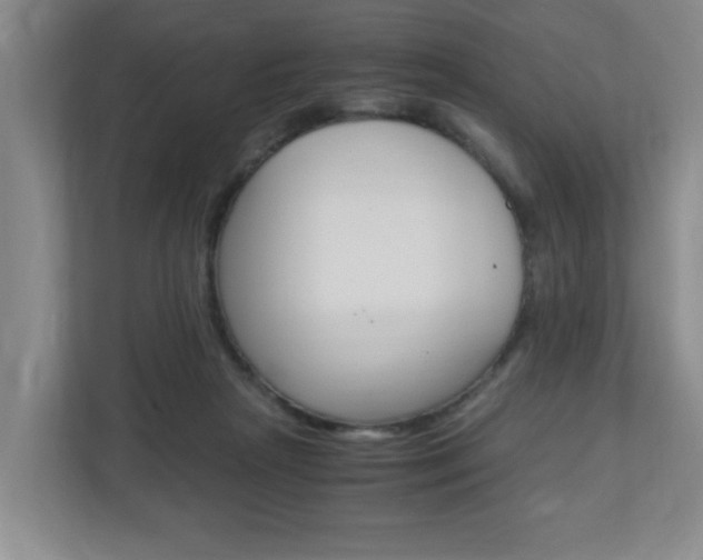 X0000110990265200906191116