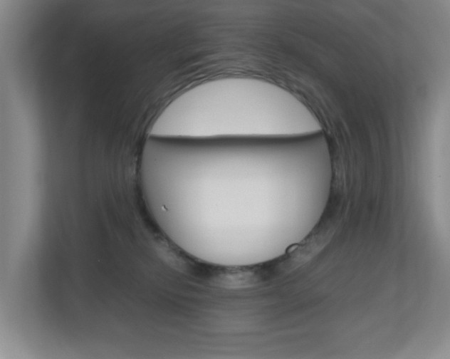 X0000110990278200906191116