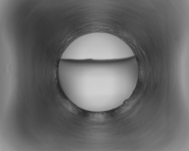X0000110990282200906191116