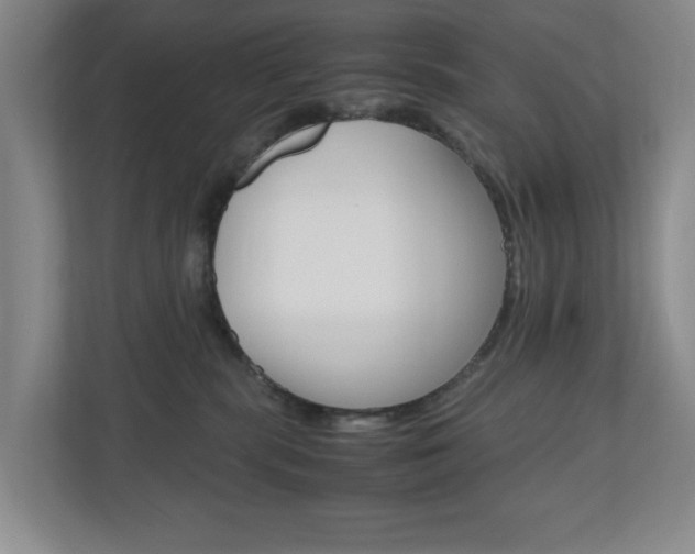 X0000110990283200906191116