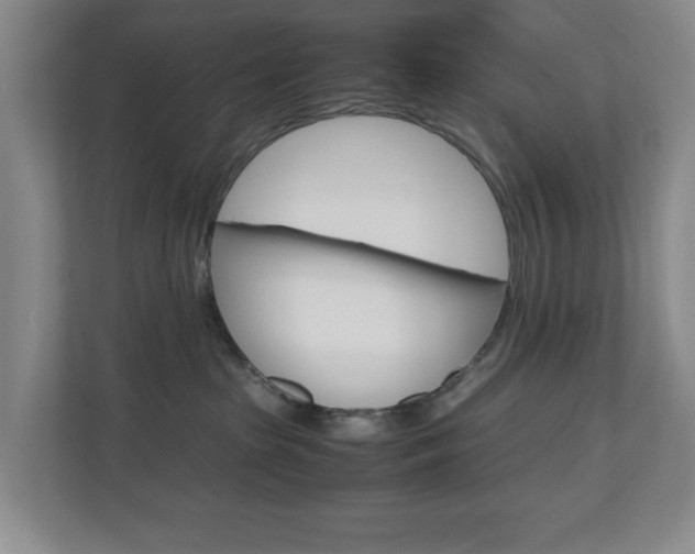 X0000110990285200906191116
