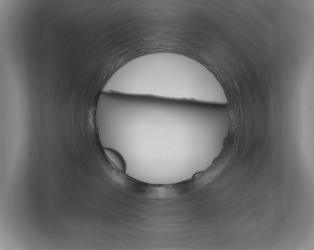 X0000110990286200906191116