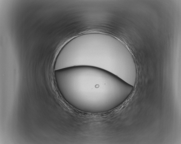 X0000110990289200906191116