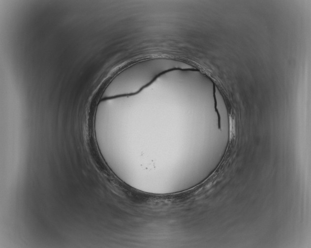 X0000110990291200906191116