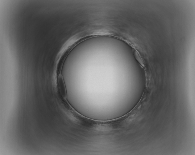 X0000110990296200906191116