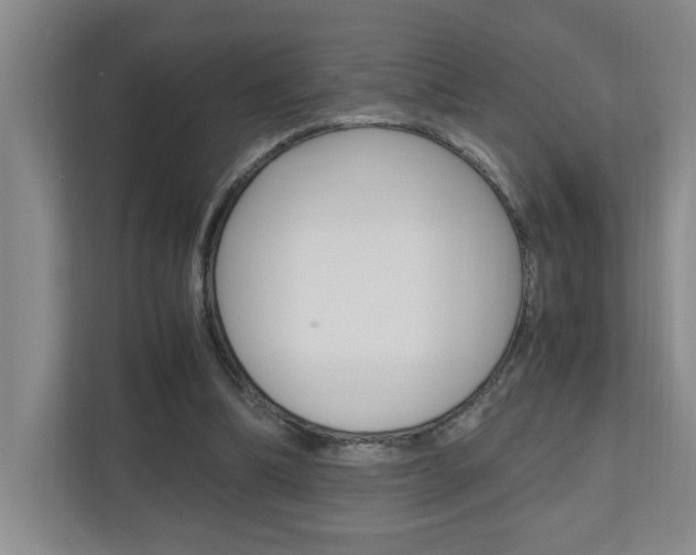X0000110990298200906191116