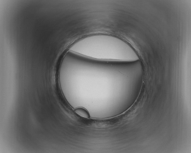 X0000110990299200906191116