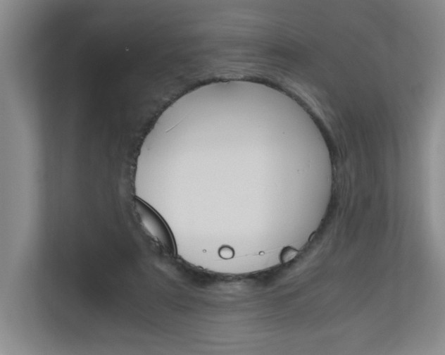 X0000110990307200906191115