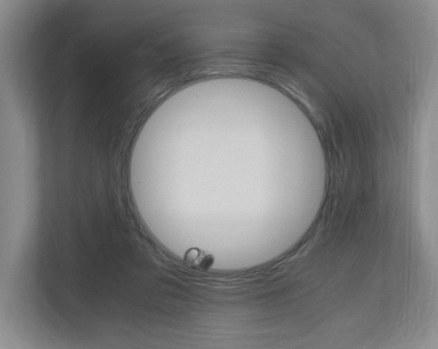 X0000110990309200906191115