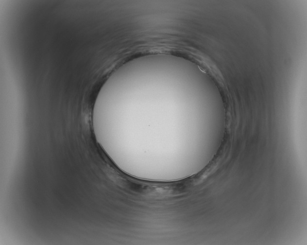 X0000110990329200906191115