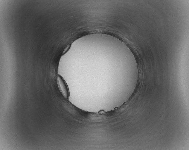 X0000110990331200906191115