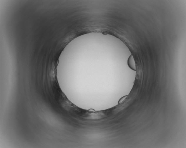 X0000110990334200906191115