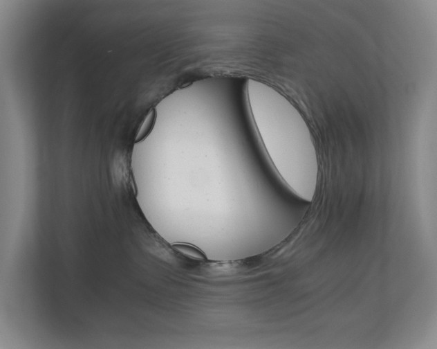 X0000110990335200906191115