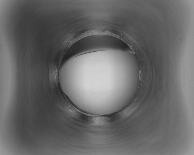 X0000110990336200906191115