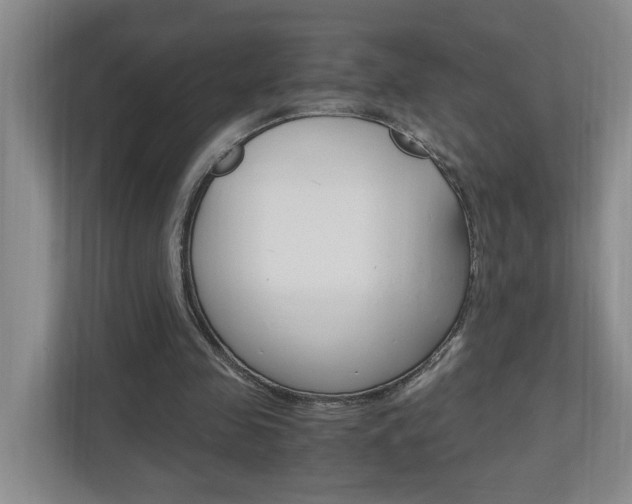 X0000110990341200906191115