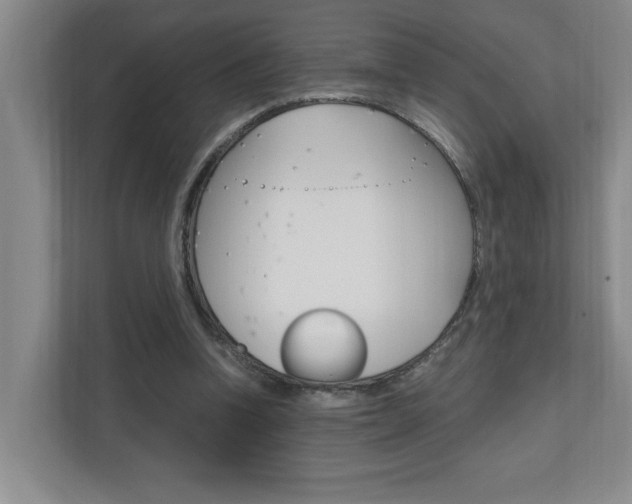 X0000110990346200906191115
