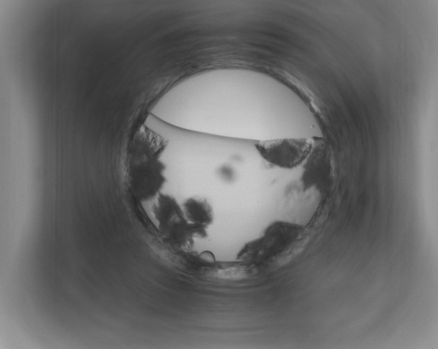 X0000110990353200906191115