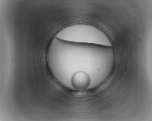 X0000110990366200906191115