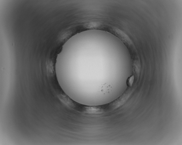 X0000110990380200906191115