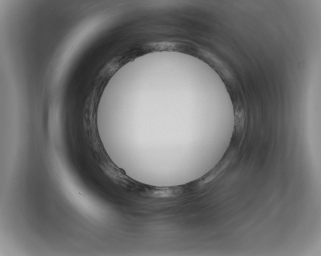 X0000110990381200906191115