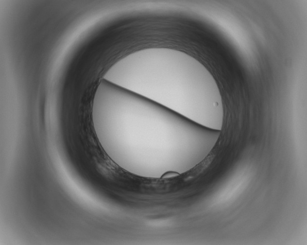 X0000110990383200906191115