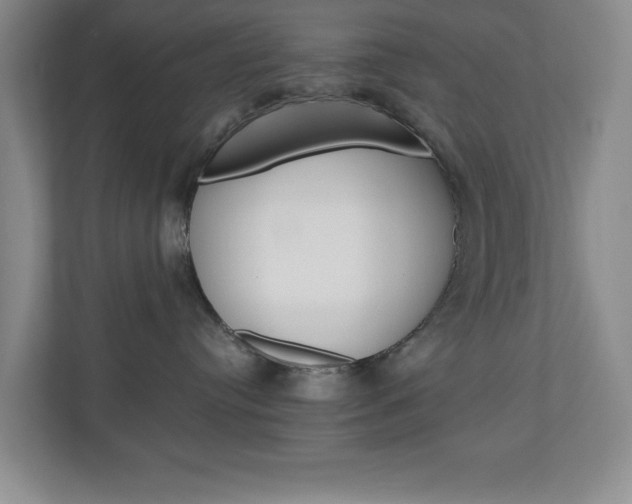 X0000110990384200906191115