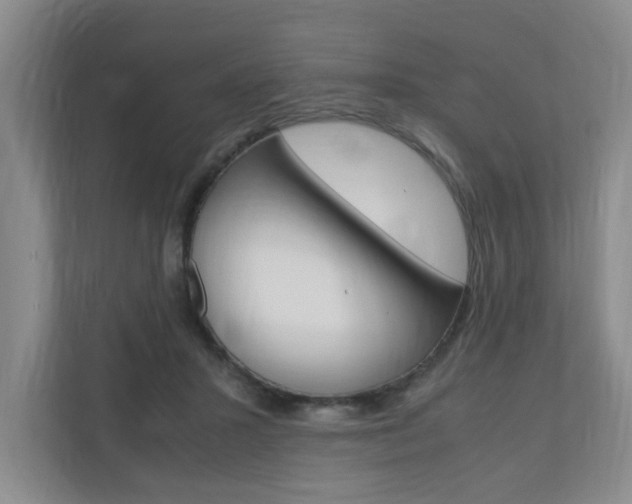 X0000110990407200906191114