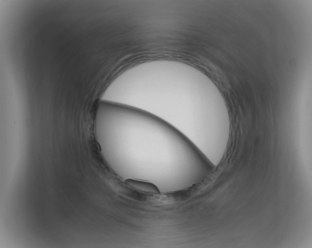 X0000110990421200906191114