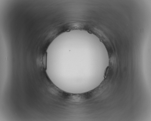 X0000110990423200906191114