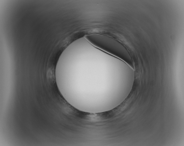 X0000110990425200906191114