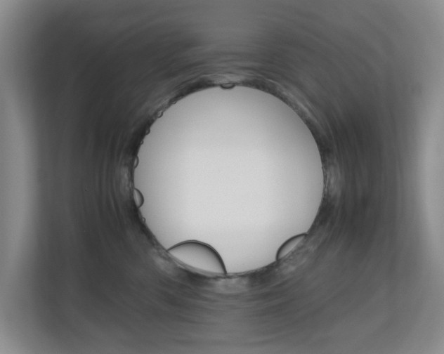 X0000110990426200906191114
