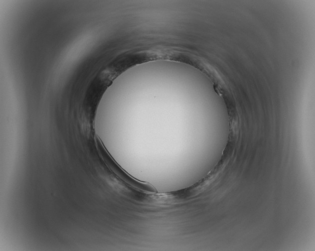 X0000110990429200906191114