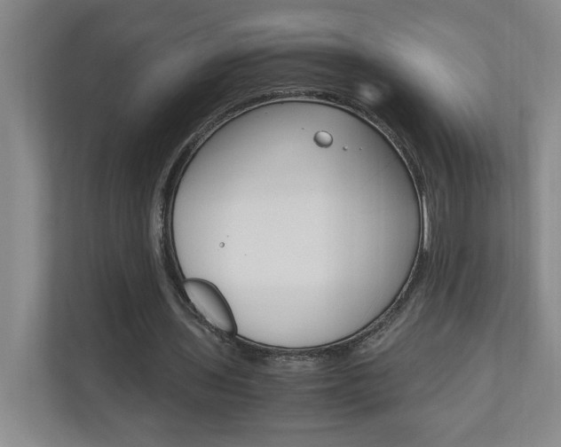 X0000110990435200906191113