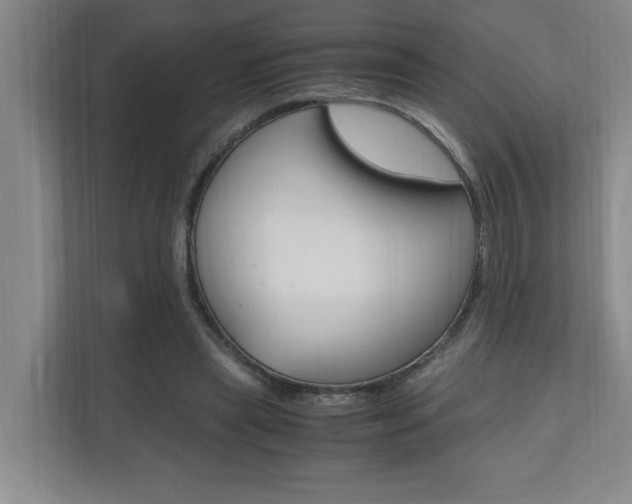 X0000110990445200906191113