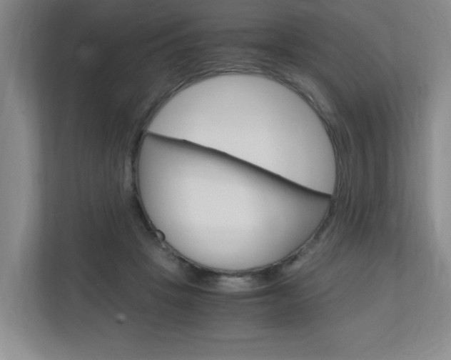 X0000110990457200906191114