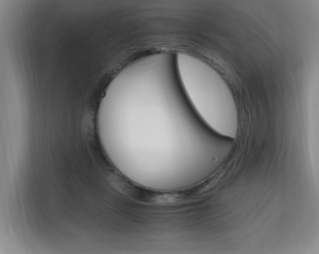 X0000110990461200906191114