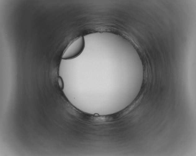 X0000110990473200906191114