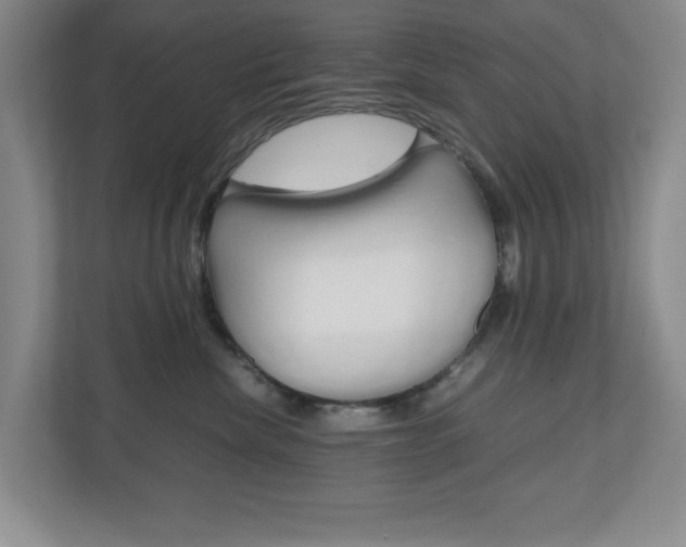 X0000110990476200906191114