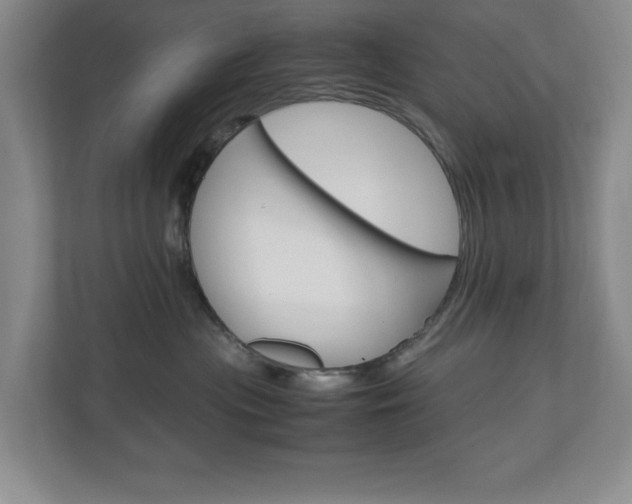 X0000110990477200906191114