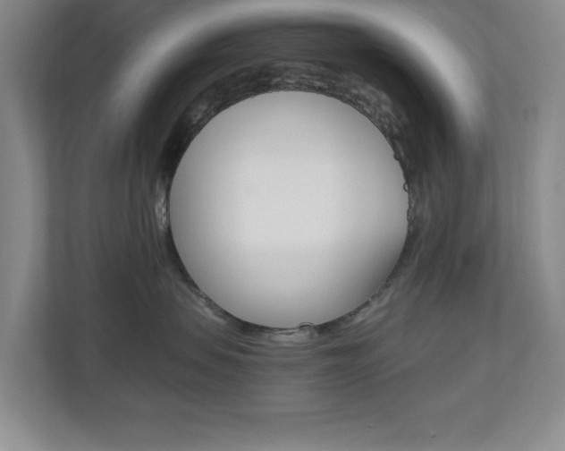 X0000110990479200906191114