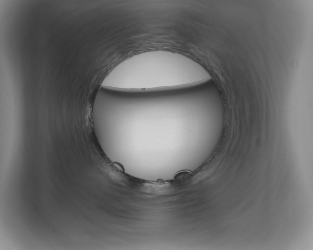 X0000110990480200906191114